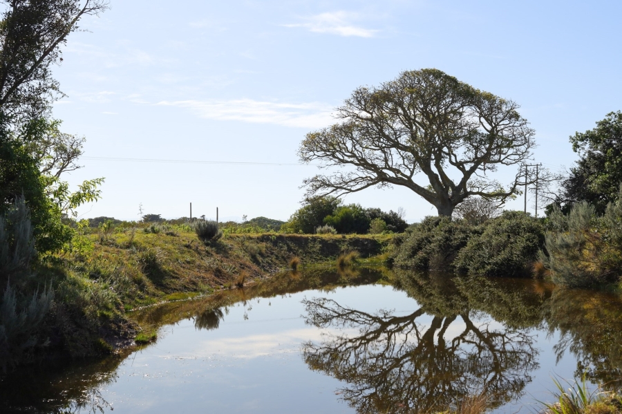 0 Bedroom Property for Sale in Kromme River Estate Eastern Cape